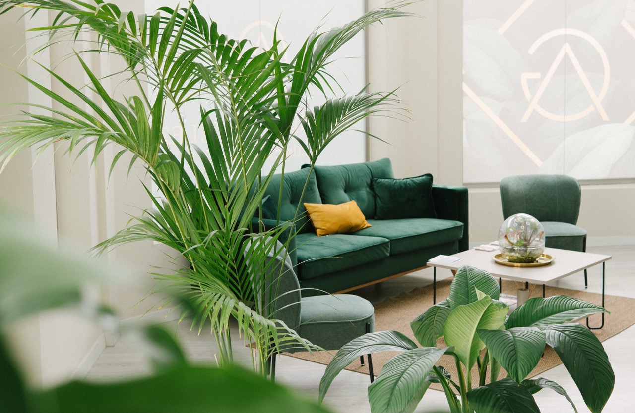 amandaclinica_image-11